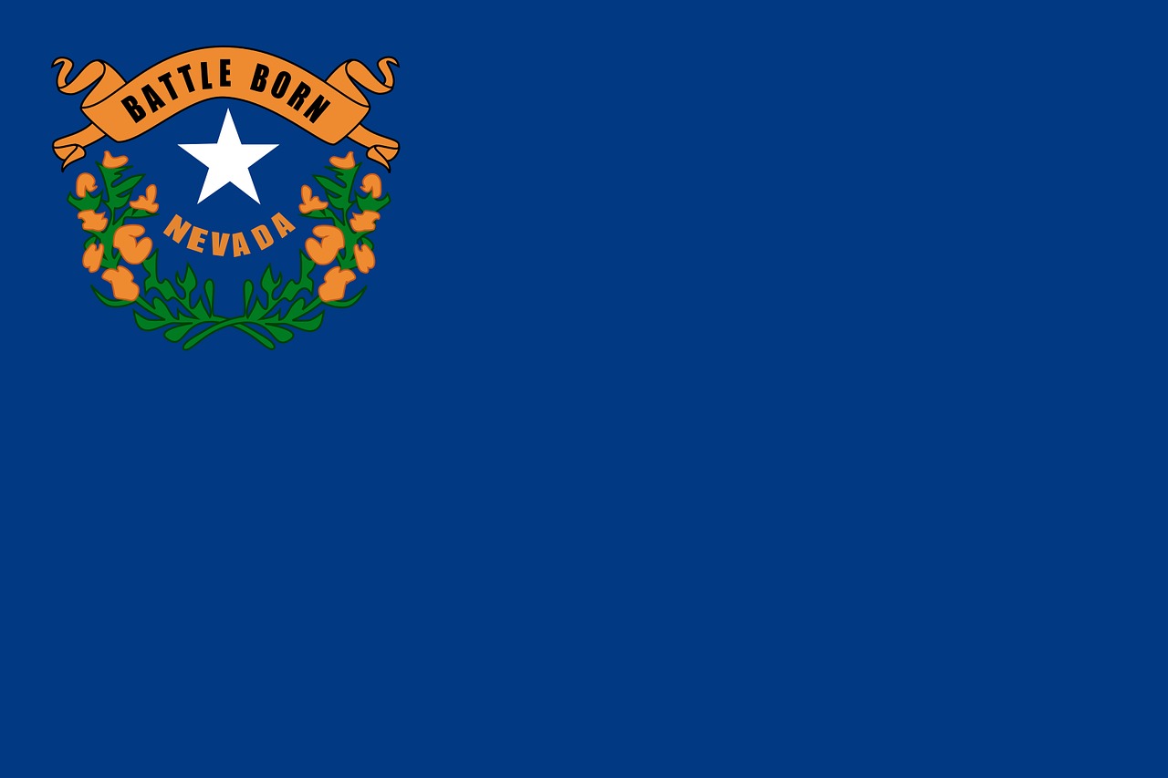 flag, nevada, state, symbols, blue, orange, star, usa, america, nevada, nevada, nevada, nevada, nevada